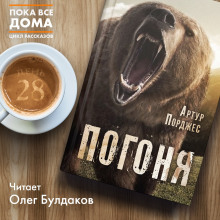 слушать аудиокнигу Погоня Аудиокнига Погоня