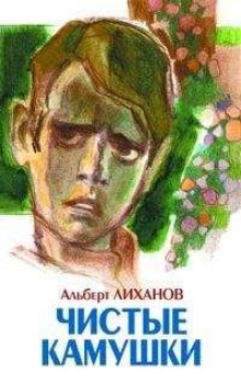 Аудиокнига Чистые камушки