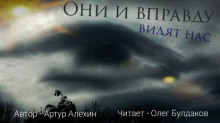 Слушать онлайн аудиокниги Они и вправду видят нас Аудиокнига Они и вправду видят нас
