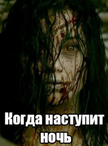 Слушать онлайн аудиокниги Когда наступит ночь Аудиокнига Когда наступит ночь