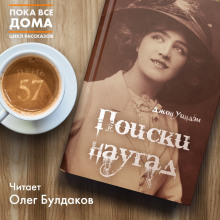 Слушать онлайн аудиокниги Поиски наугад Аудиокнига Поиски наугад