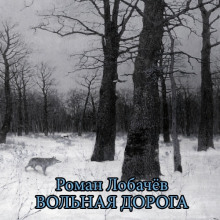 Аудиокнига Вольная дорога