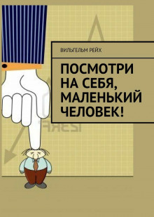 Аудиокнига Посмотри на себя, маленький человек!