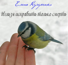Слушать онлайн аудиокниги Нельзя исправить только смерть Аудиокнига Нельзя исправить только смерть