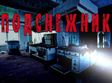 Слушать онлайн аудиокниги Подснежник Аудиокнига Подснежник