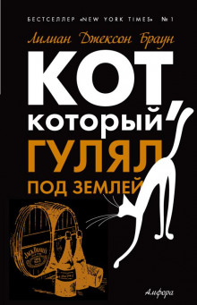 Слушать онлайн аудиокниги Кот, который гулял под землей Аудиокнига Кот, который гулял под землей