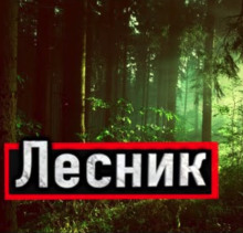 Слушать онлайн аудиокниги Лесник Аудиокнига Лесник