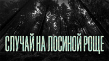 Слушать онлайн аудиокниги Случай на Лосиной Роще Аудиокнига Случай на Лосиной Роще