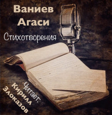слушать аудиокнигу Стихотворения Аудиокнига Стихотворения