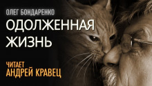 Слушать онлайн аудиокниги Одолженная жизнь Аудиокнига Одолженная жизнь