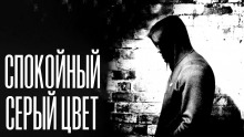 Слушать онлайн аудиокниги Спокойный серый цвет Аудиокнига Спокойный серый цвет