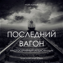 Слушать онлайн аудиокниги Последний вагон Аудиокнига Последний вагон