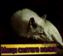 слушать аудиокнигу Мощи святого волка Аудиокнига Мощи святого волка