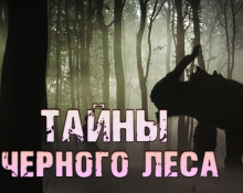 Аудиокнига Тайны чёрного леса