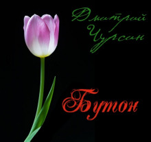 Аудиокнига Бутон