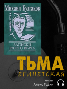 Аудиокнига Тьма египетская