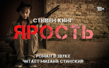 Слушать онлайн аудиокниги Ярость Аудиокнига Ярость