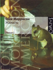 Слушать онлайн аудиокниги Жалость Аудиокнига Жалость