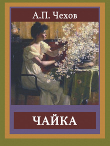 Слушать онлайн аудиокниги Чайка Аудиокнига Чайка