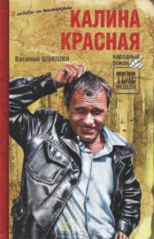 Аудиокнига Критики