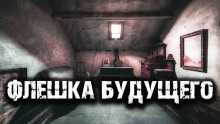 Слушать онлайн аудиокниги Флешка Аудиокнига Флешка