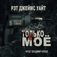 Аудиокнига Только моё