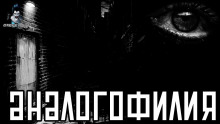 Слушать онлайн аудиокниги Аналогофилия Аудиокнига Аналогофилия