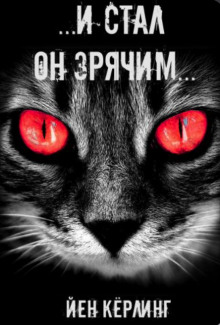 Слушать онлайн аудиокниги И стал он зрячим Аудиокнига И стал он зрячим