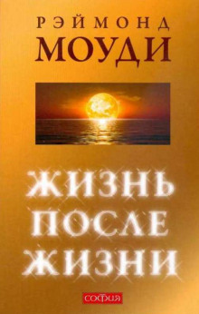 слушать аудиокнигу Жизнь после жизни Аудиокнига Жизнь после жизни