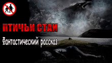 Аудиокнига Птичьи стаи