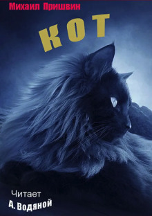 слушать аудиокнигу Кот Аудиокнига Кот