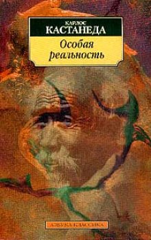 Аудиокнига Особая реальность. Новые беседы с доном Хуаном