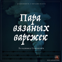 слушать аудиокнигу Пара вязаных варежек Аудиокнига Пара вязаных варежек