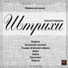 Аудиокнига Штрихи