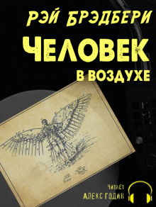 Слушать онлайн аудиокниги Человек в воздухе Аудиокнига Человек в воздухе