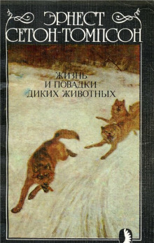 Слушать онлайн аудиокниги Жизнь и повадки диких животных Аудиокнига Жизнь и повадки диких животных