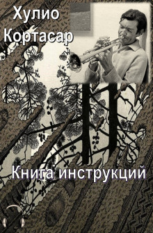 Аудиокнига Книга инструкций