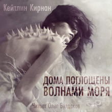 слушать аудиокнигу Дома поглощены волнами моря Аудиокнига Дома поглощены волнами моря