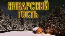 Аудиокнига Январский гость