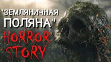 слушать аудиокнигу Земляничная поляна Аудиокнига Земляничная поляна