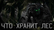 Слушать онлайн аудиокниги Что Хранит лес или Аука Аудиокнига Что Хранит лес или Аука