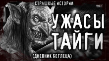 Слушать онлайн аудиокниги Дневник беглеца Аудиокнига Дневник беглеца