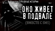 Слушать онлайн аудиокниги Простые житейские радости Аудиокнига Простые житейские радости
