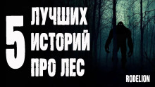 Слушать онлайн аудиокниги Страшные истории про лес Аудиокнига Страшные истории про лес