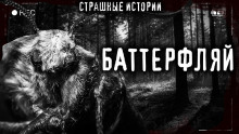 Аудиокнига Баттерфляй