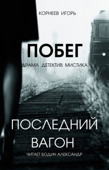Слушать онлайн аудиокниги Последний вагон. Побег Аудиокнига Последний вагон. Побег