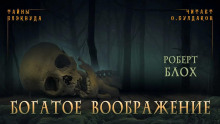 Аудиокнига Богатое воображение