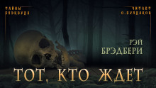 Слушать онлайн аудиокниги Тот, кто ждёт Аудиокнига Тот, кто ждёт