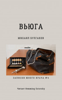 слушать аудиокнигу Вьюга Аудиокнига Вьюга