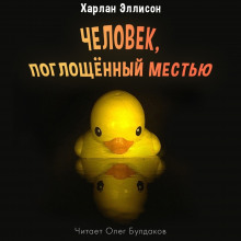Аудиокнига Человек, поглощенный местью